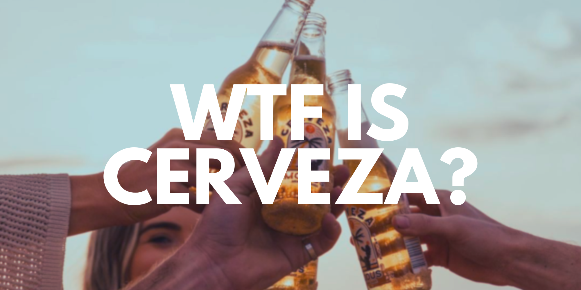 WTF is Cerveza?